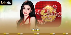 Bài chắn