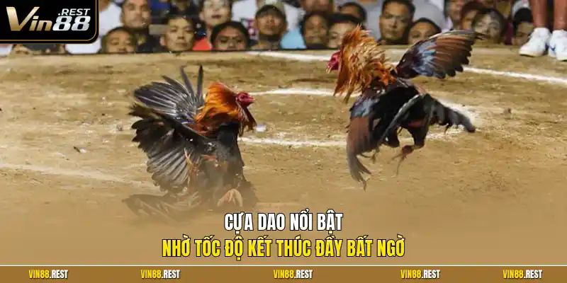 Cựa dao nổi bật nhờ tốc độ kết thúc đầy bất ngờ