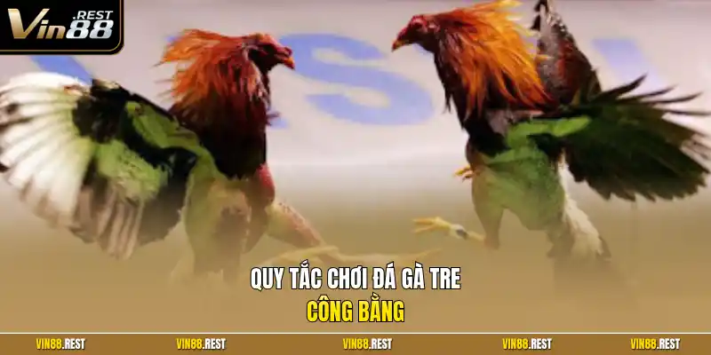 Quy tắc chơi đá gà tre công bằng 