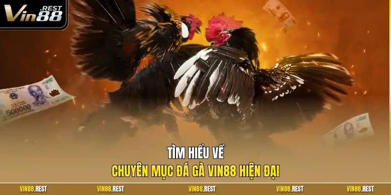 Tìm hiểu về chuyên mục đá gà Vin88 hiện đại